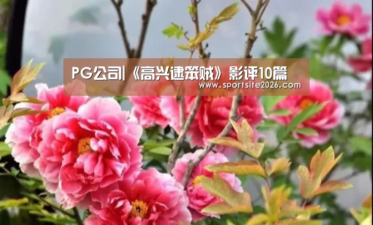 PG公司|《高兴逮笨贼》影评10篇(图1) PG直播