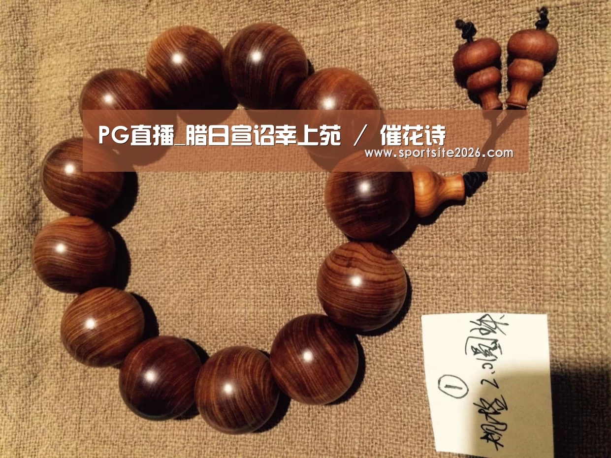 PG模拟器