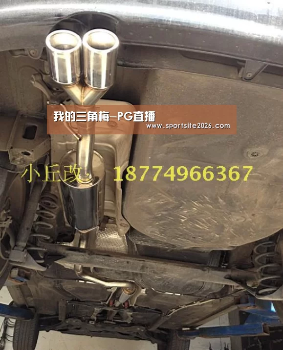 我的三角梅-PG直播(图2) PG模拟器