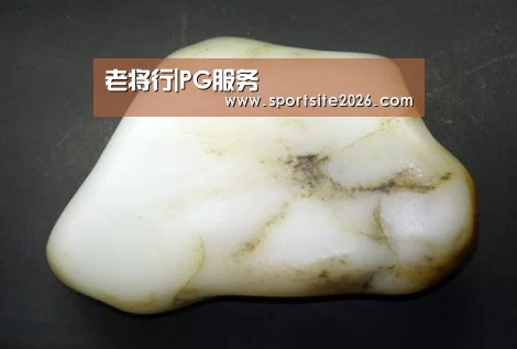 老将行|PG服务(图1) PG模拟器