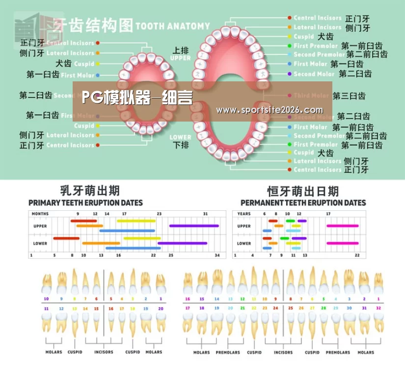 PG模拟器