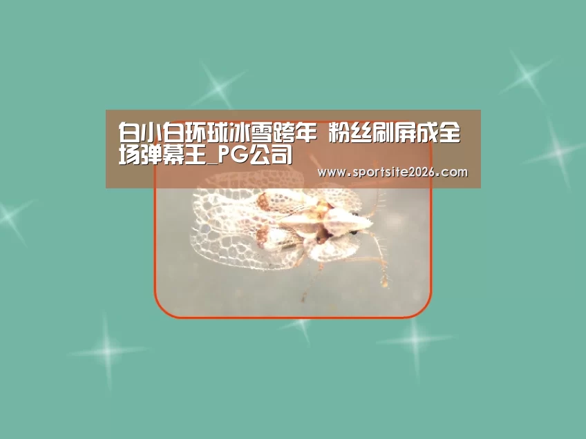 PG模拟器