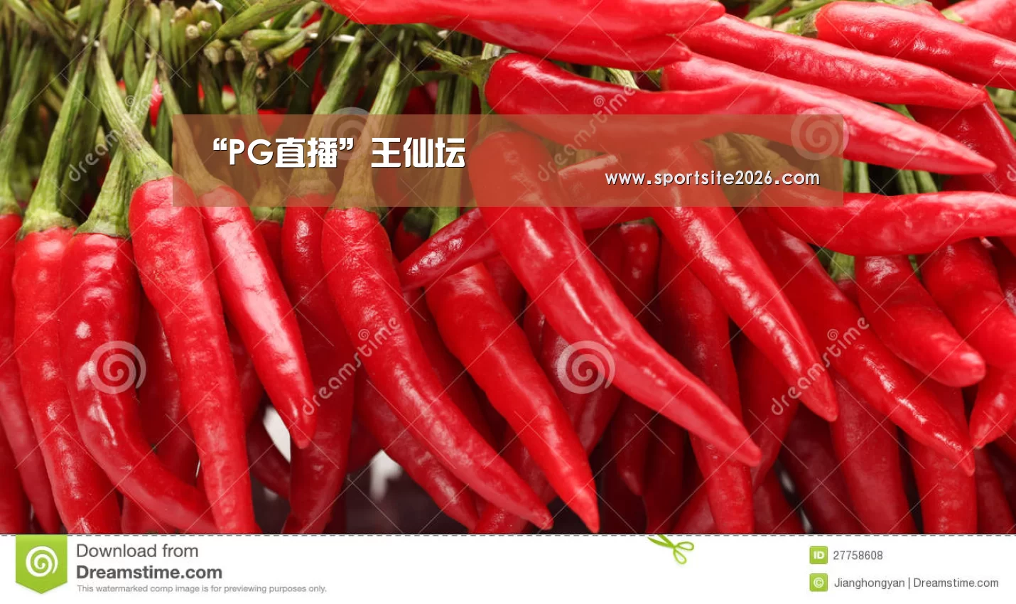 PG服务