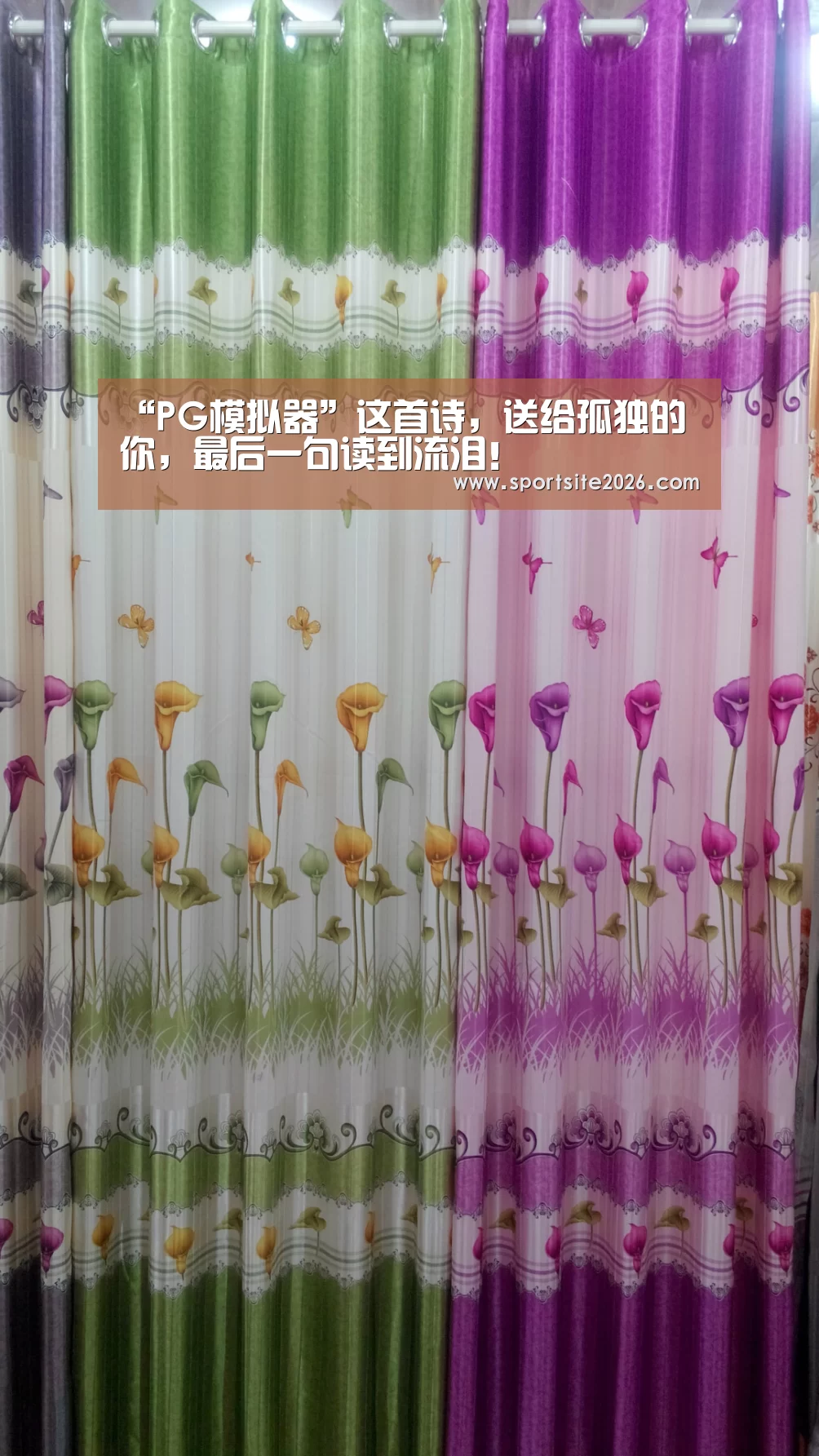 “PG模拟器”这首诗,送给孤独的你,最后一句读到流泪!(图1) PG直播